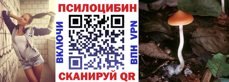 Псилоцибиновые грибы Psilocybe Анива